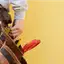 Handyman repair service in Cedar Rapids, IA for home fixes and improvements